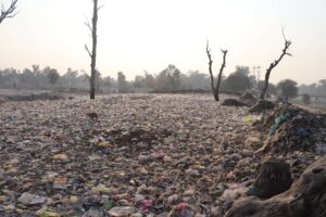 short essay on soil pollution in english